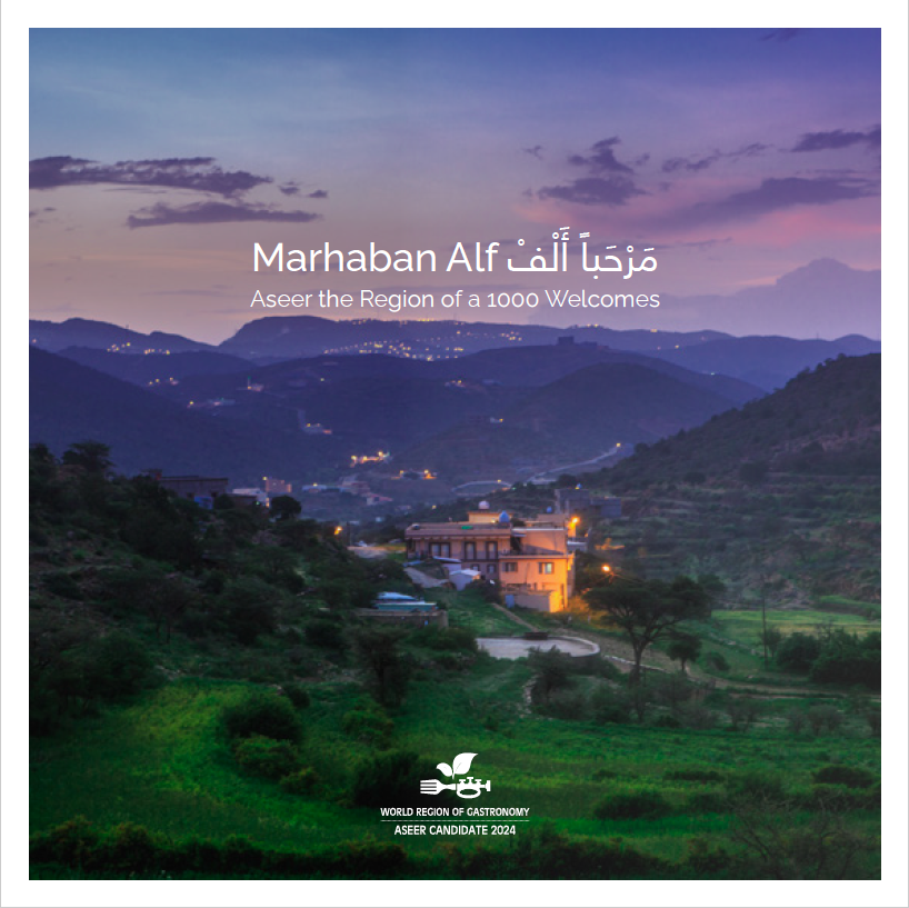 Aseer: the Region of a 1000 Welcomes